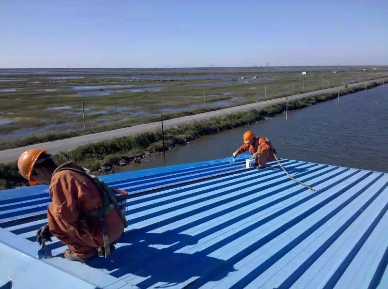 舞钢钢结构屋面漏水原因